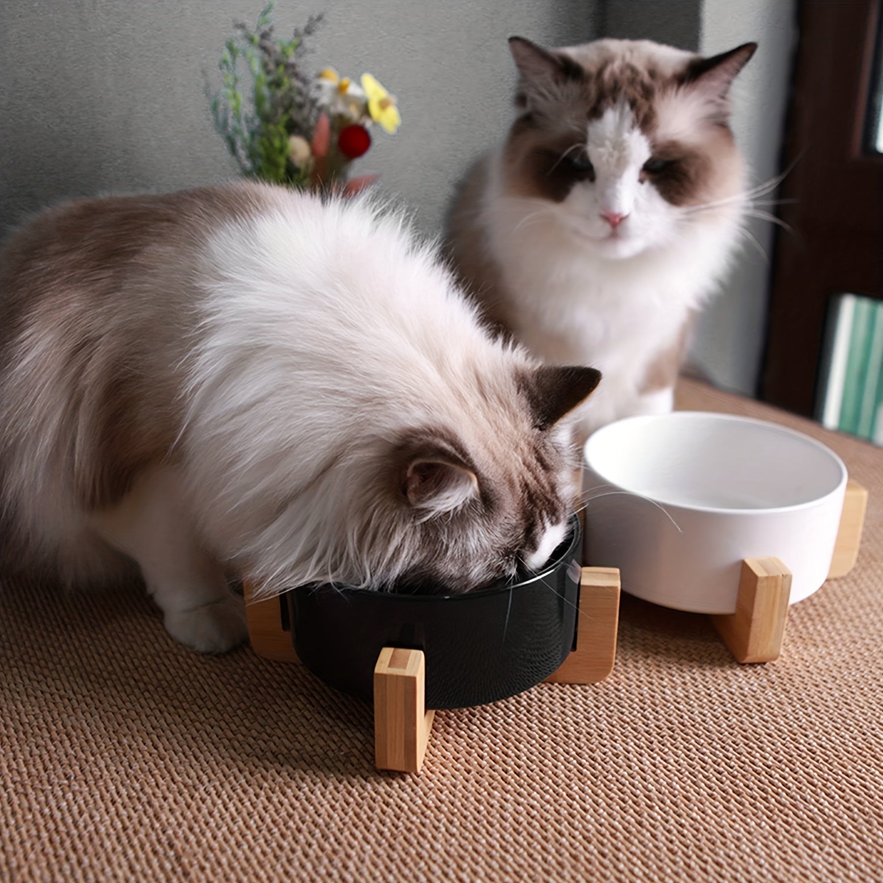 Non-Slip Ceramic Double Pet Food Bowl for Cats and Dogs - Prevents Spills and Slips, Easy to Clean and Durable
